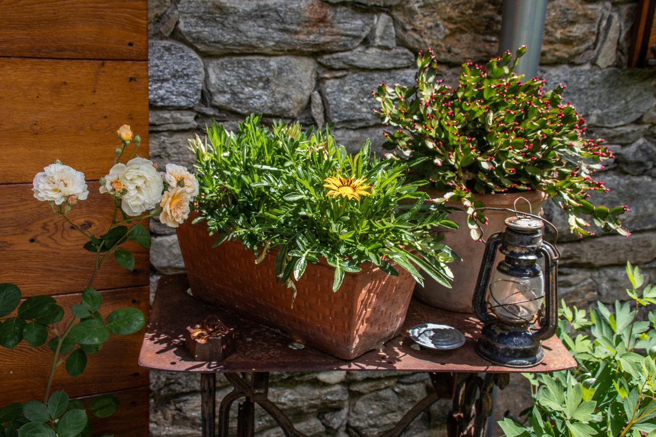 Agriturismo Treterre Pianello Del Lario ภายนอก รูปภาพ