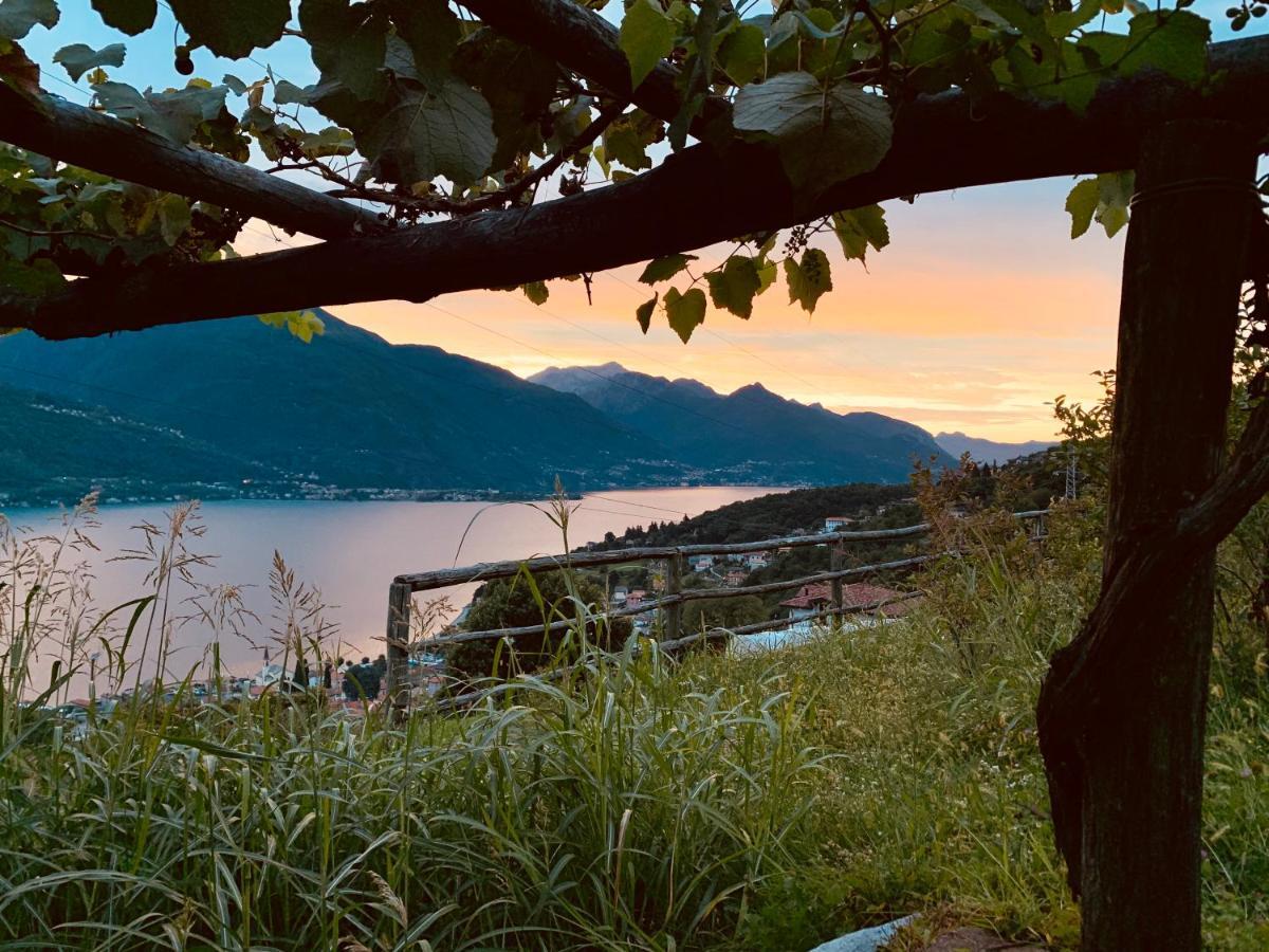 Agriturismo Treterre Pianello Del Lario ภายนอก รูปภาพ